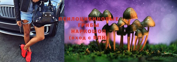 стафф Абдулино